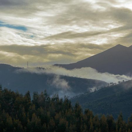 O Pardieiro - Casas Da Paradinha Buitenkant foto